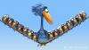 鸟！鸟！鸟！For the Birds