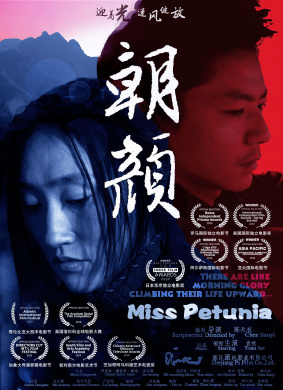 朝颜Miss Petunia