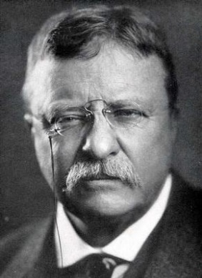 罗斯福的崛起The Rise of Theodore Roosevelt