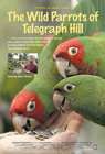 野鹦鹉The Wild Parrots of Telegraph Hill