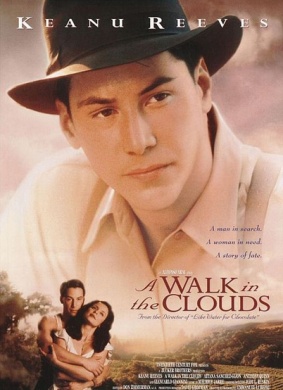 云中漫步A Walk in the Clouds
