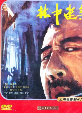 林中迷案Puzzle Case In Forest