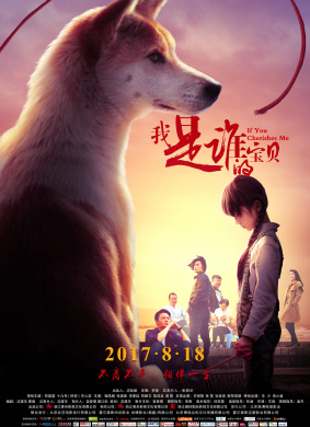 我是谁的宝贝Whose baby am I?