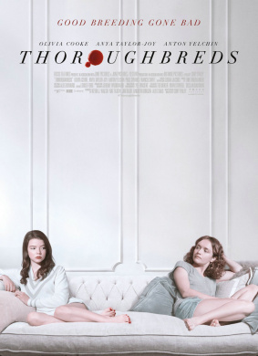 良种动物Thoroughbred